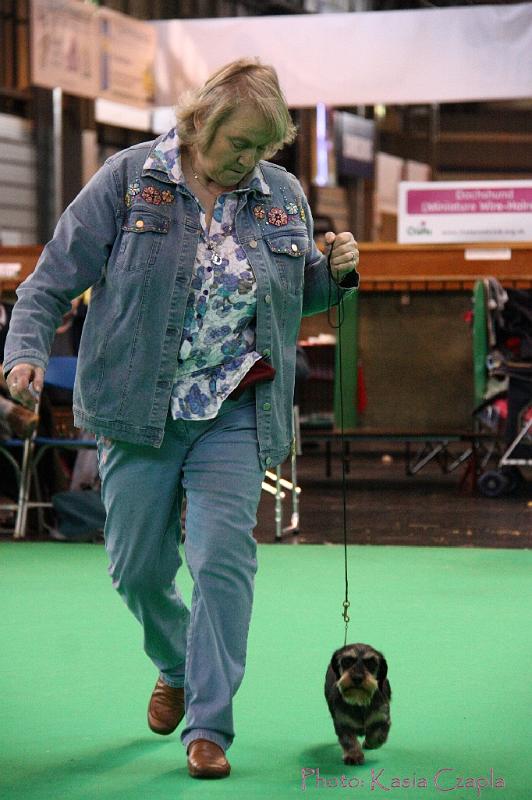 Crufts2011_2 1543.jpg